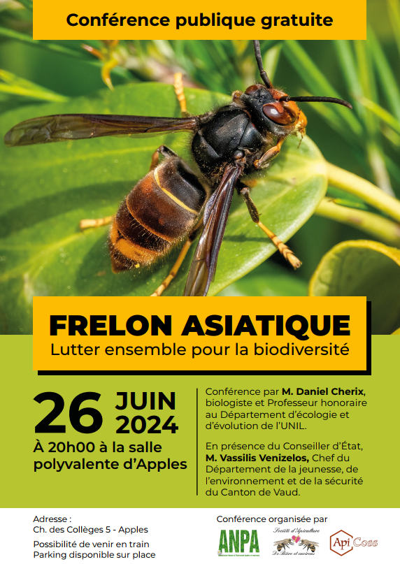 Conference Frelon asiatique